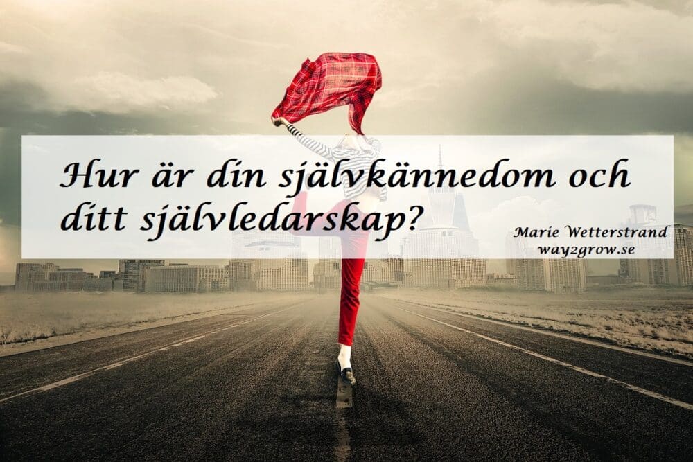 Hur är din självkännedom och ditt självledarskap?