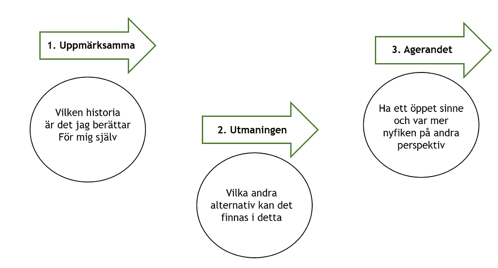 Det dolda inflytandet: Hur våra personliga berättelser formar våra ledarskapsbeteenden 3 alibaba