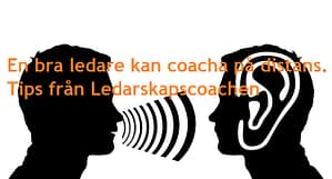 Tips från Ledarskapscoachen -En bra ledare kan coacha på distans 3 11aa