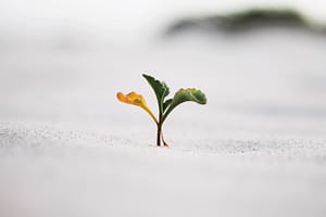 5 Viktiga Skäl för Ledare att Främja Positiv Företagskultur 2 En positiv företagskultur uppmuntrar personlig och professionell tillväxt