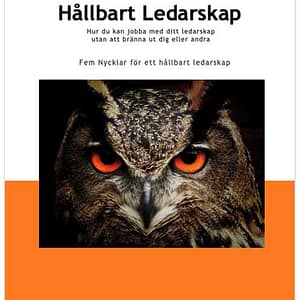 E-bok: Effektiv tidshantering – företagare 2 E-bok: Hållbart Ledarskap
