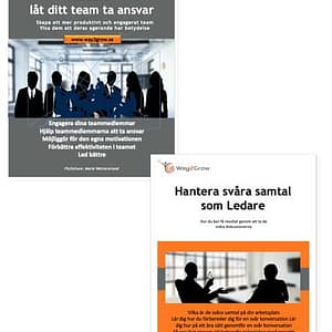 E-bok: Svåra samtal 2 Paket e-böckerna: Ledare låt ditt team ta ansvar + Svåra samtal