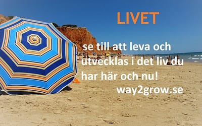 LIVET, se till att leva och utvecklas i det liv du har här och nu!