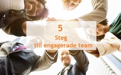 5 Steg till engagerade team