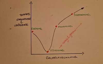 Blogg 7 Teamutvecklingens olika skeden och hur du som ledare utvecklar ditt team