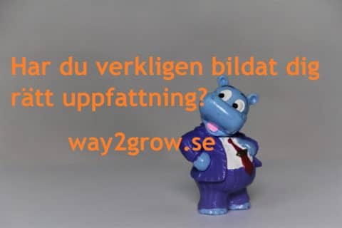 Har du verkligen bildat dig rätt uppfattning?
