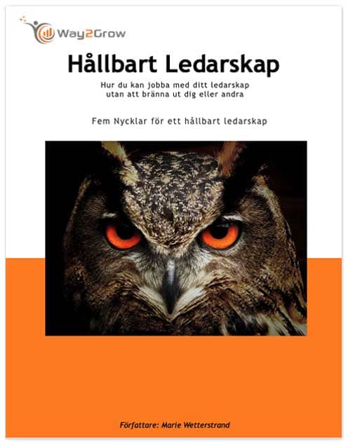 Hallbart ledarskap2 1