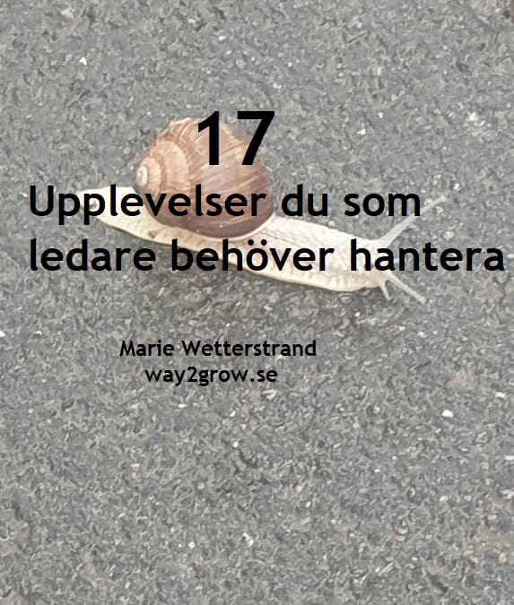 17 upplevelser som du som ledare behöver hantera.