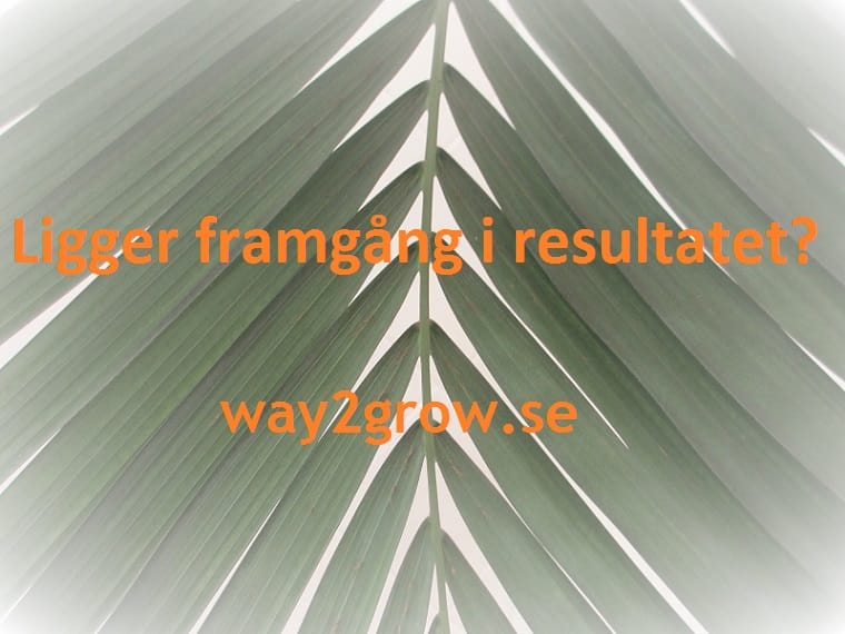 Ligger framgång i resultatet